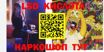 гидра Заводоуковск