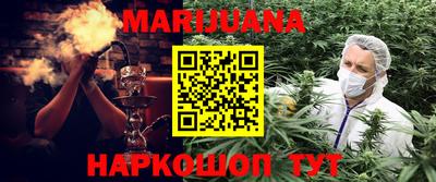 гидра Заводоуковск