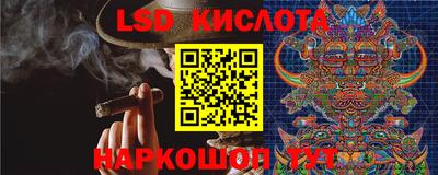 гидра Заводоуковск