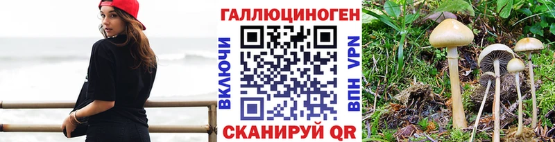 Псилоцибиновые грибы ЛСД  Полевской 