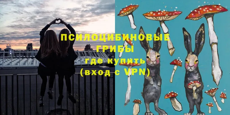 Псилоцибиновые грибы MAGIC MUSHROOMS  купить закладку  omg как зайти  Полевской 