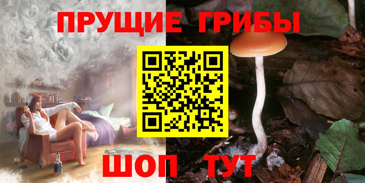 Галлюциногенные грибы мицелий  Вход с VPN  Полевской  Псилоцибиновые грибы Magic Shrooms 
